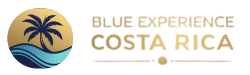 Blue Experience Logo